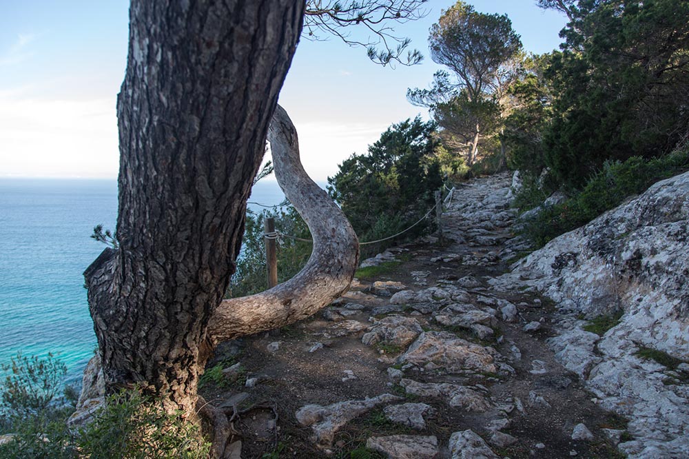 Cami de sa pujada Camino Romano Formentera