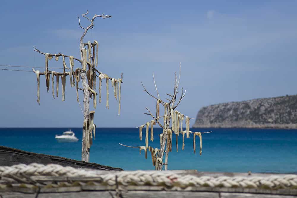 Peix Sec Es Caló de Sant Agustí Formentera