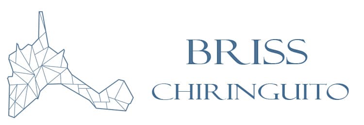 Chiringuito Briss Formentera